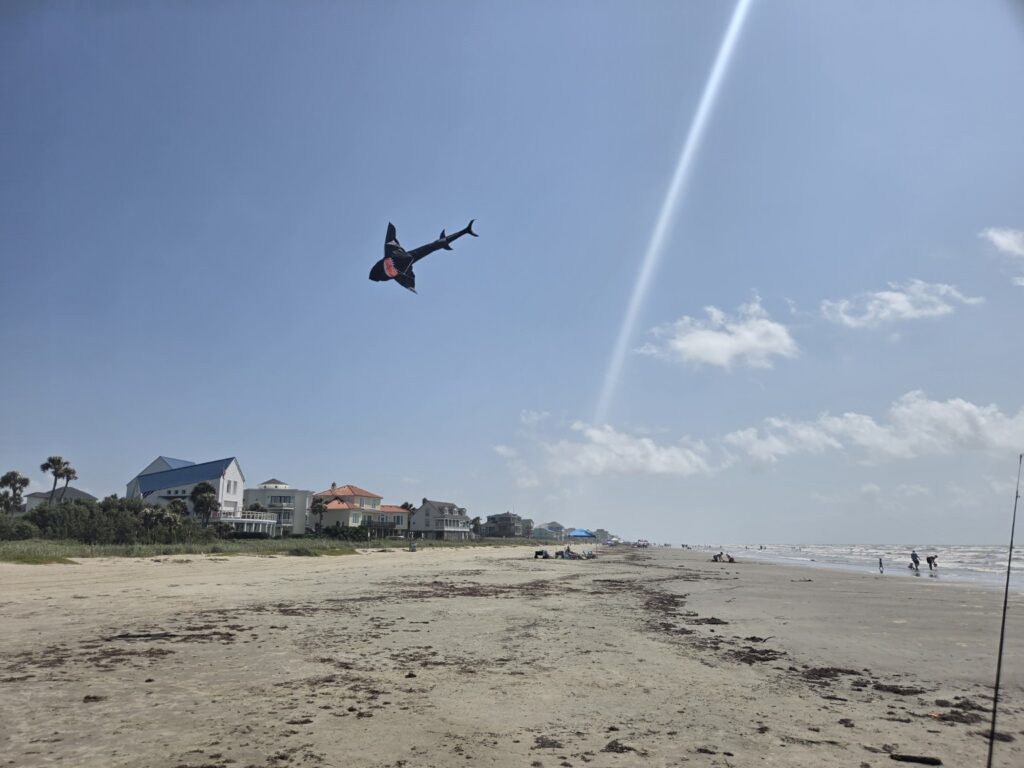 Best Beaches in Galveston