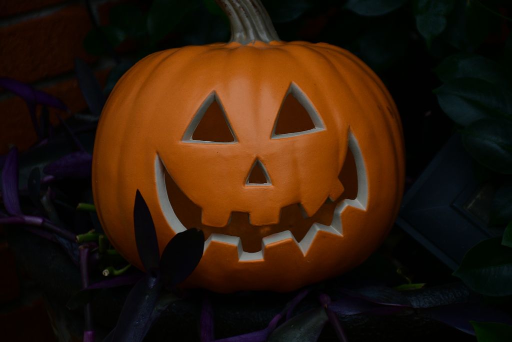 A carved jack-o'-lantern surrounded by dark foliage creates a spooky Halloween atmosphere.