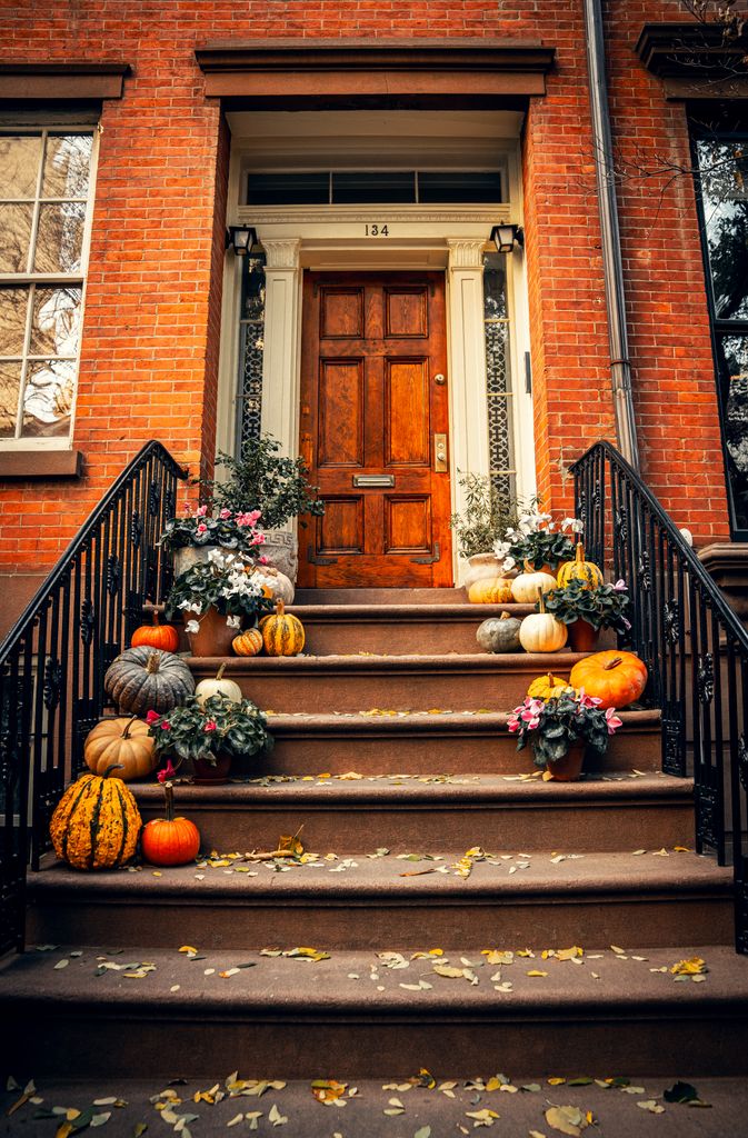 Fall and Halloween travel with pumpkins on autumn steps
