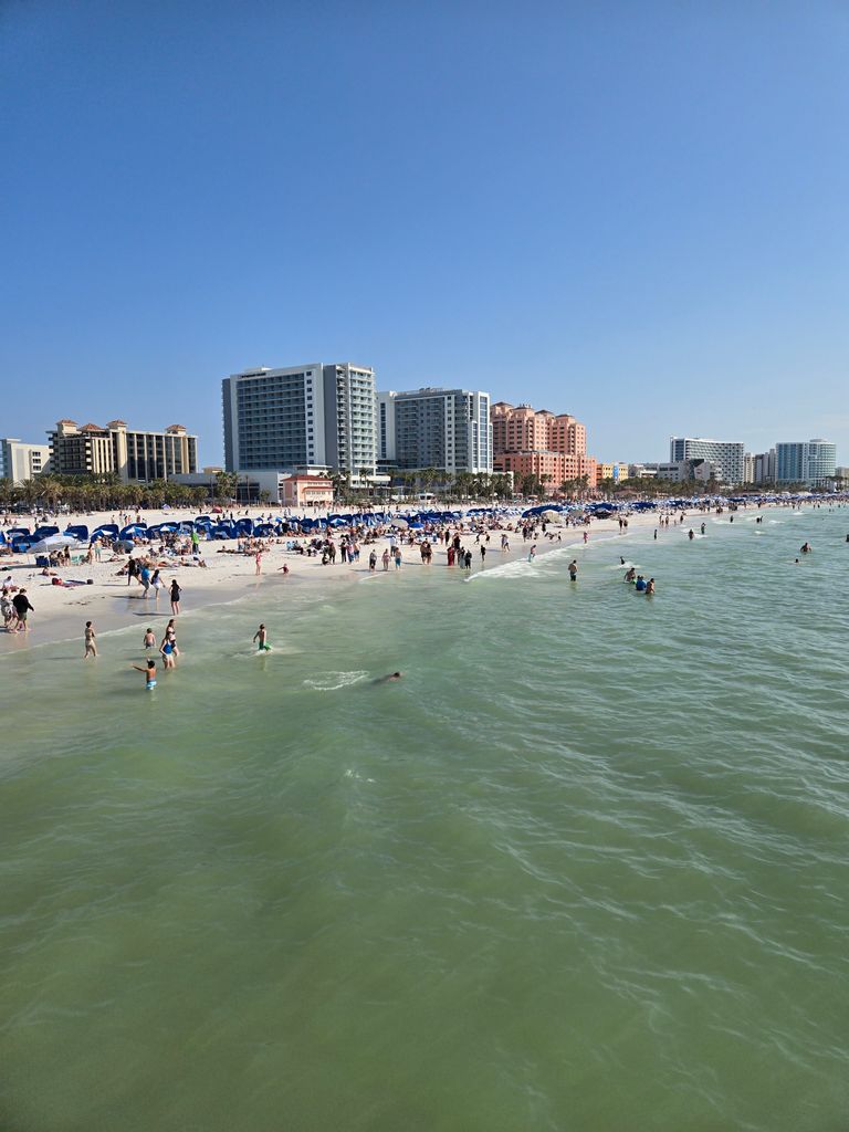 Clearwater & St. Pete Travel Guide